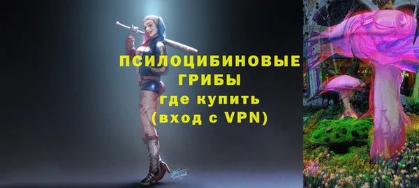 твердый Аркадак