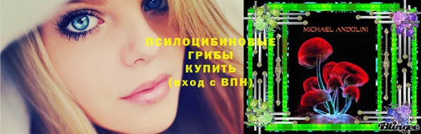 гидропоника Армянск