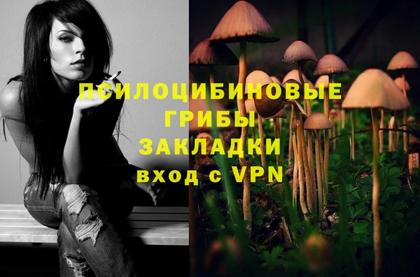 гидропоника Армянск