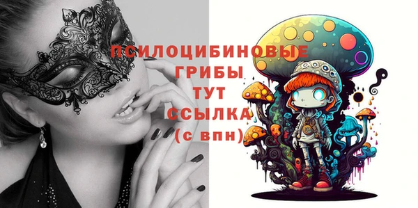 ГАЛЛЮЦИНОГЕННЫЕ ГРИБЫ Арсеньев