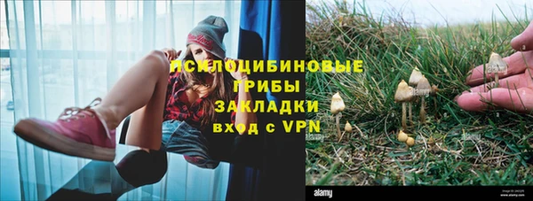 ГАЛЛЮЦИНОГЕННЫЕ ГРИБЫ Арсеньев