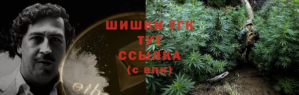 твердый Аркадак